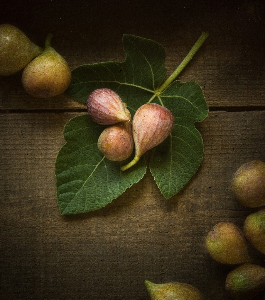 figs by mark boughton photography