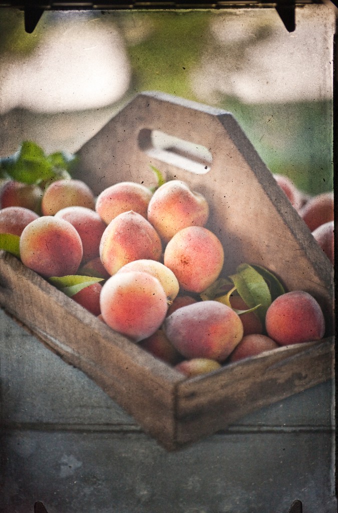 peaches by Mark Boughton Photography